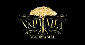 VALHALLA(ヴァルハラ)1部 歌舞伎町の求人情報